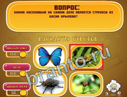 Эйнштейн Поэты уровень 1289