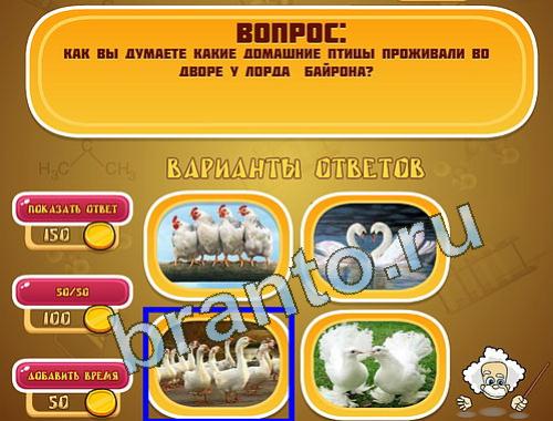 игра Эйнштейн помощь уровень 1299