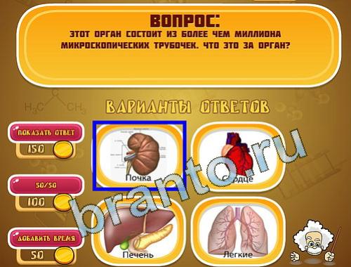 Эйнштейн прохождение игры уровень 1302