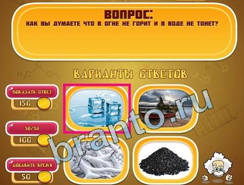 Эйнштейн игра Ассорти уровень 1334