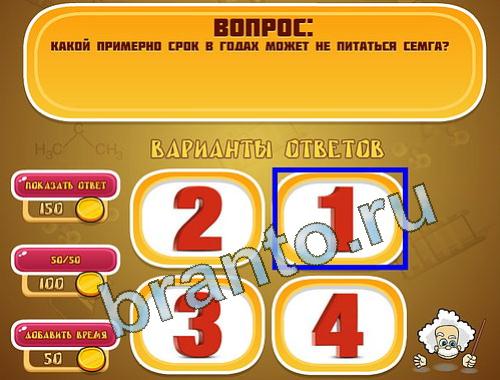 Игра Эйнштейн прохождение уровень 1340