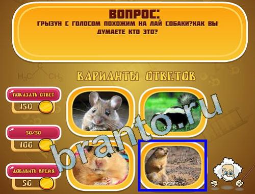 прохождение на игру Эйнштейн уровень 1341