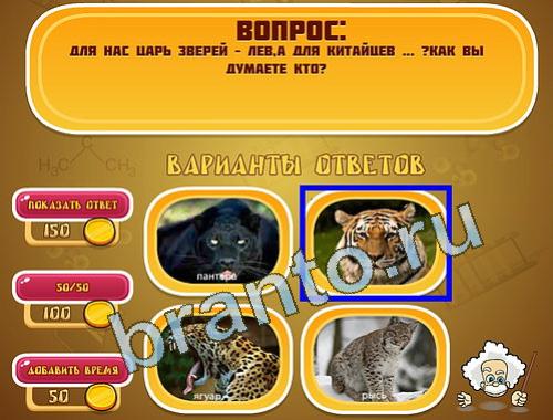 Эйнштейн прохождение игры уровень 1342