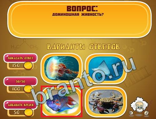 ответы на игру Эйнштейн в одноклассниках уровень 1343