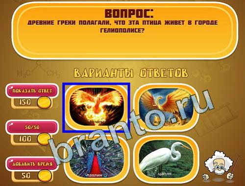 Прохождение игры Эйнштейн уровень 1344