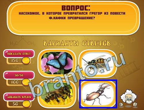 ответы Эйнштейн уровень 1345