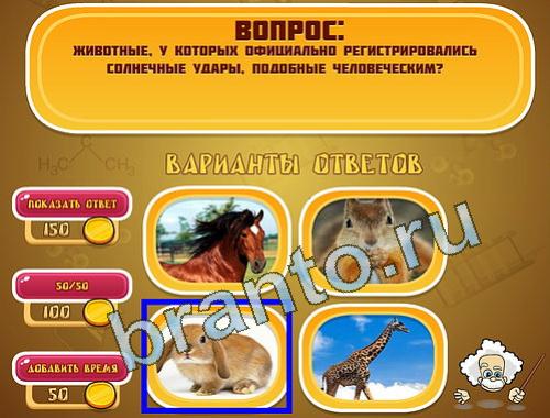 Эйнштейн игра ответы уровень 1349