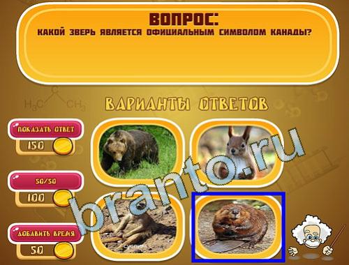 Эйнштейн помощь в картинках уровень 1351