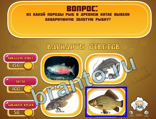 ответы на игру Эйнштейн в скриншотах уровень 1352