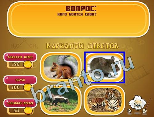 ответы на игру Эйнштейн уровень 1356
