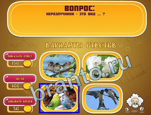 ответы на игру Эйнштейн уровень 1358