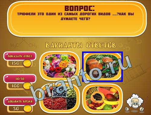 ответы на игру в одноклассниках Эйнштейн уровень 1366