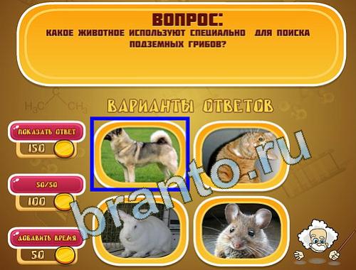 Эйнштейн игра ответы в одноклассниках уровень 1367