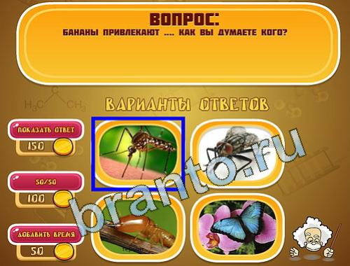 Эйнштейн Еда уровень 1369