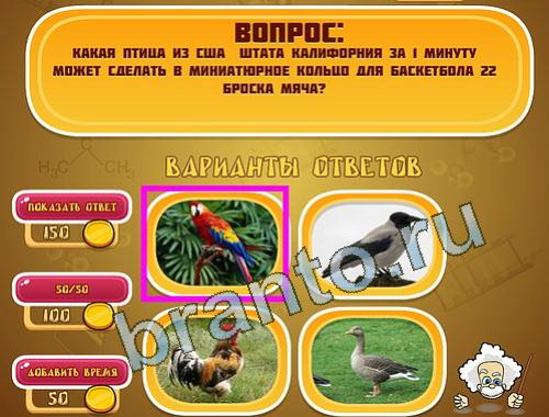 Эйнштейн прохождение игры уровень 1382