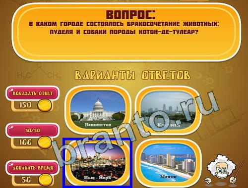 ответы Эйнштейн в одноклассниках уровень 1386