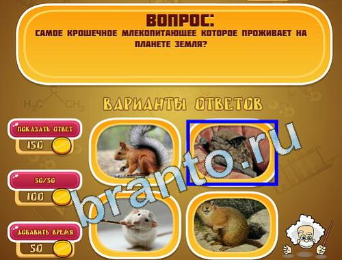 Эйнштейн игра Земля уровень 1414