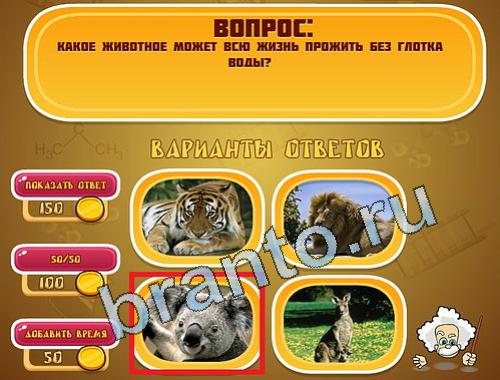 Решения на игру Эйнштейн уровень 1483