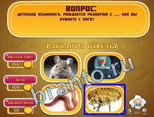 ответы на игру в одноклассниках Эйнштейн уровень 1486