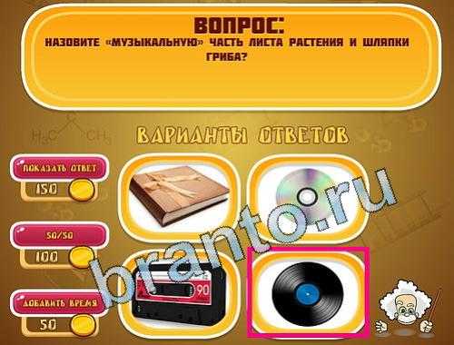 игра в одноклассниках Эйнштейн ответы уровень 1510