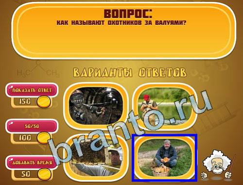 игра Эйнштейн ответы в одноклассниках уровень 1519