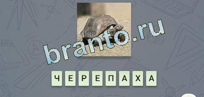 ответы на игру эврика Фауна в контакте уровень 1