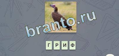 решения на игру эврика Фауна в контакте уровень 3