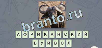 помощь на игру эврика Фауна вконтакте уровень 4