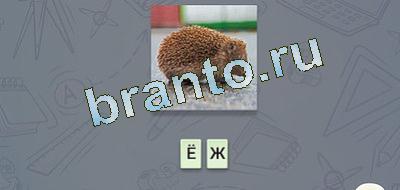 відповіді на игру эврика Фауна в контакте уровень 5
