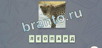 эврика игра ответы Фауна вконтакте уровень 6