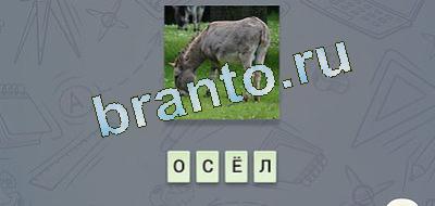 эврика игра подсказки Фауна в контакте уровень 7