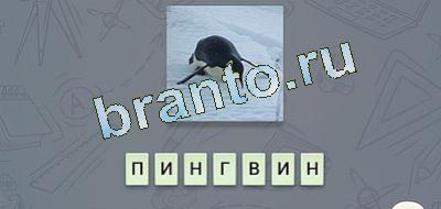 эврика игра решения Фауна вк уровень 8