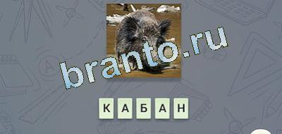 эврика игра відповіді Фауна вконтакте уровень 10