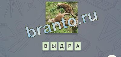 игра эврика подсказки Фауна в контакте уровень 12