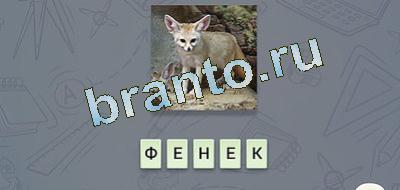 игра эврика решения Фауна вконтакте уровень 13