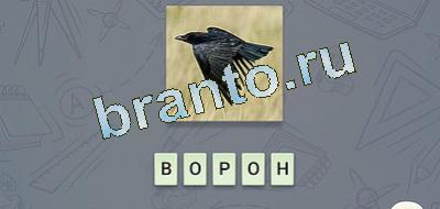 игра эврика помощь Фауна вк уровень 14