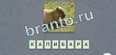 игра эврика ответы Фауна вконтакте уровень 16