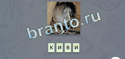 игра эврика подсказки Фауна вк уровень 17