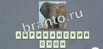 игра эврика решения Фауна в контакте уровень 18