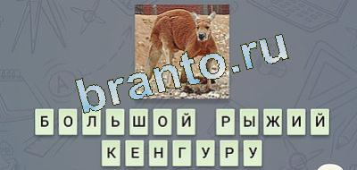 игра эврика помощь Фауна вконтакте уровень 19