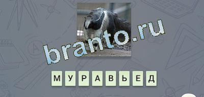 игра эврика відповіді Фауна вк уровень 20