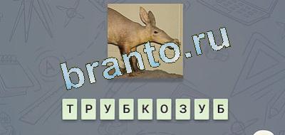 игра эврика ответы Фауна в контакте уровень 21