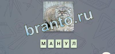 игра эврика подсказки Фауна вконтакте уровень 22