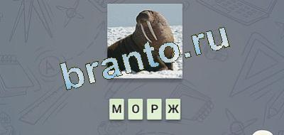 игра эврика решения Фауна вк уровень 23