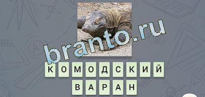 игра эврика помощь Фауна в контакте уровень 24