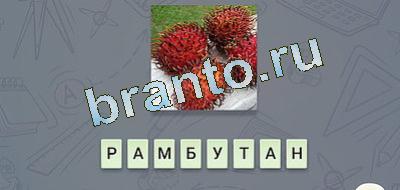 игра эврика відповіді Гастрономия вк уровень 20