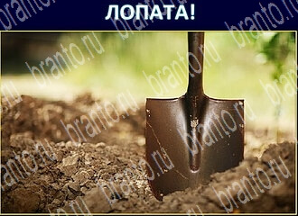 Экстрасенс ответ на уровень 102