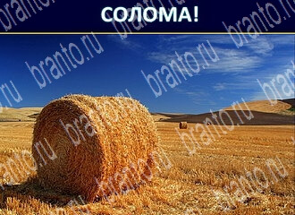 скриншоты с ответами Экстрасенс уровень 104