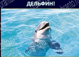 ответы на игру Экстрасенс Одноклассники уровень 107