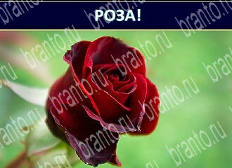 Экстрасенс игра відповіді в одноклассниках уровень 108